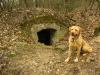 Bunker kutyával
